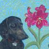 Dachsund painting_dog portrait painting_JUdy Henn_amarillus painting