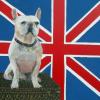 French Bulldog,Frenchie,Judy Henn,Dog portrait,Lambertville NJ,commission,contemporary art,union jack,british flag,Louis Vuitton,gifts