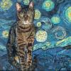 Starry Night,cat portrait,custom,Judy Henn,Lambertville NJ,contemporary art,Robins Egg Gallery,gifts