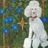 Standard Poodle,Silver,white,Judy Henn,Lambertville Nj,custom dog portrait,commission,contemporary art,new dog art,gifts