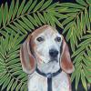 Beagle,Judy Henn,custom portrait,dog painting,Lambertville NJ,Robins Egg Gallery,contemporary art,gifts