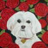 Maltese,dog portrait,painting,Judy Henn,Lambertville NJ,custom,pet portrait,Robins Egg Gallery,roses,gifts