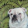 Bulldog,English,American,dog portrait,Judy Henn,Lambertville,NJ,contemporary art,gifts,Robins Egg Gallery,commission