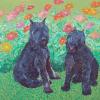 Bouvier_bouvier painting_Judy Henn-dog painting_dog portrait-original dog art