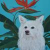 American Eskimo_eskie_portrait painting_dog art_Judy Henn_original dog painting_dog gifts_dog prints